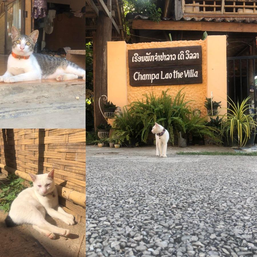 Champalao The Villa Vang Vieng Ngoại thất bức ảnh