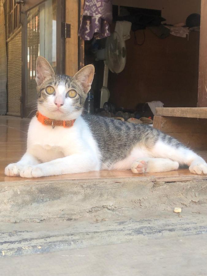 Champalao The Villa Vang Vieng Ngoại thất bức ảnh